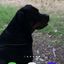 Profile picture jjandunclechris.bsky.social