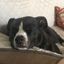 Profile picture thejeffjones10.bsky.social