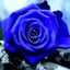 Profile picture kaxondetaxxx.bsky.social