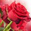 Profile picture kasadosxxx.bsky.social