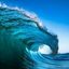 Profile picture blue-oleta.bsky.social
