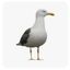 Profile picture indigoiis.bsky.social