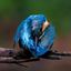 Profile picture claire667.bsky.social