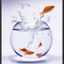 Profile picture professler.bsky.social