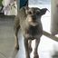 Profile picture pnutluvr.bsky.social