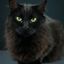 Profile picture krisd1950.bsky.social