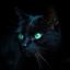 Profile picture sweetfreedom.bsky.social