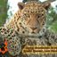 Profile picture catslib.bsky.social