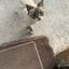 Profile picture phoebe1313.bsky.social