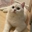 Profile picture sadiyajenai.bsky.social