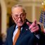 Profile picture schumer.senate.gov
