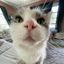 Profile picture nooogle.bsky.social