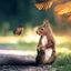 Profile picture stevendy.bsky.social