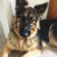 Profile picture bellababes.bsky.social