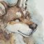 Profile picture akatan.bsky.social