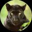 Profile picture blackpanther25.bsky.social