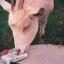Profile picture otto0424.bsky.social