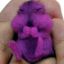 Profile picture swirlosquirrel.bsky.social