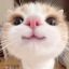 Profile picture slaymochi.bsky.social