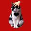 Profile picture tuesdayadams111.bsky.social