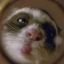 Profile picture jackster.bsky.social