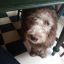 Profile picture kdfoster5018.bsky.social