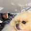 Profile picture byunghohkg.bsky.social