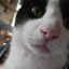 Profile picture missumpatty.bsky.social