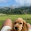 Profile picture jessica8710.bsky.social