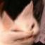 Profile picture orbitaldropkick.bsky.social