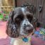 Profile picture linedanceloverfl.bsky.social