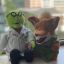 Profile picture drneil.bsky.social