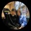 Profile picture noolluuel.bsky.social