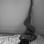 Profile picture norahwere.bsky.social