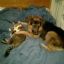 Profile picture usa24freedom.bsky.social