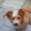 Profile picture gipsy321.bsky.social