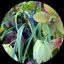 Profile picture rollan06.bsky.social