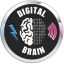 Profile picture yourdigitalbrain.bsky.social