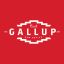 Profile picture visitgallup.bsky.social