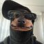 Profile picture michael-pz15.bsky.social