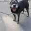 Profile picture fiona0v087.bsky.social