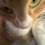 Profile picture myang102.bsky.social