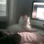 Profile picture onexxlists.bsky.social