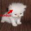 Profile picture askabivesait.bsky.social
