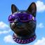 Profile picture katerjimmy.bsky.social