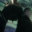 Profile picture sovvvo.bsky.social