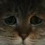 Profile picture mochakko.bsky.social