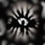 Profile picture dieselsandwich.bsky.social