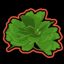Profile picture 57leafclover.bsky.social