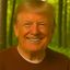 Profile picture nicedonaldtrump.bsky.social